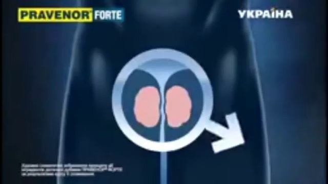 Pravenor Forte