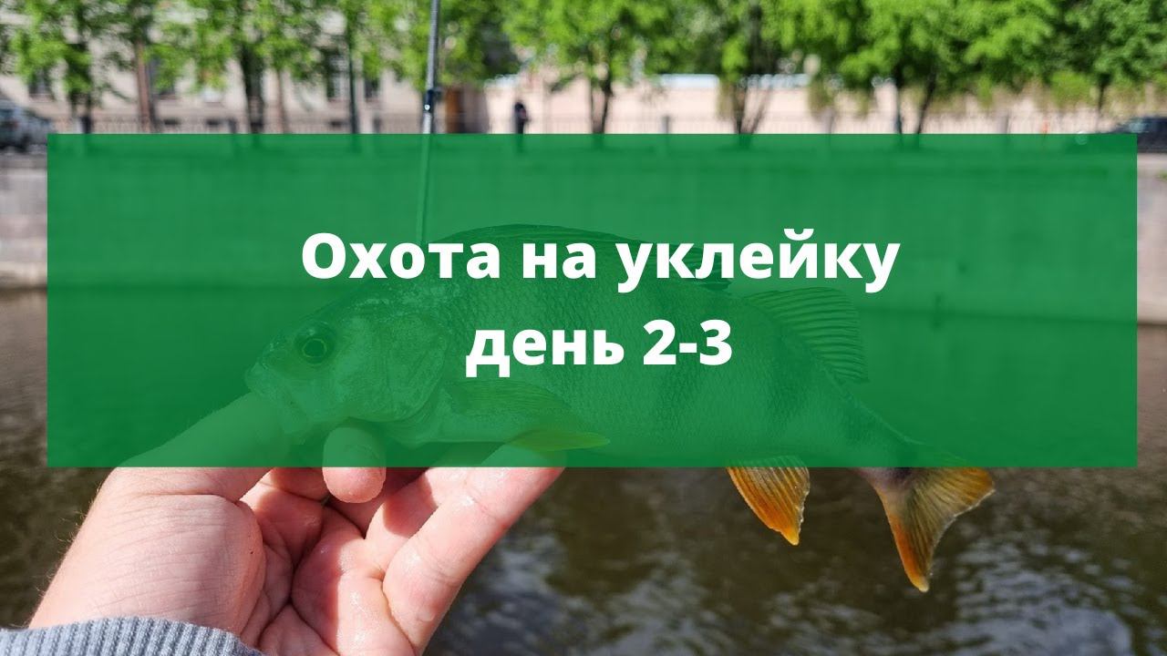 #8 #ультралайт Охота на уклейку. День 2 и 3 смотреть онлайн