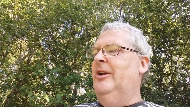 Lost gems i haven't shown yet - A-Z Music Haven's thread смотреть онлайн