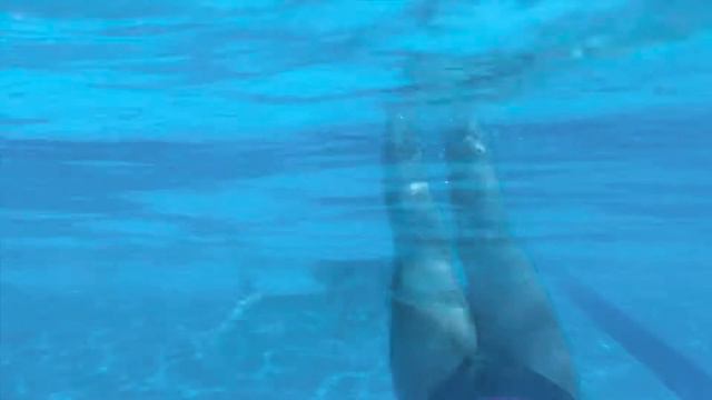 Шарм-эль-шейх.  Sea Beach Aqua Park Resort. Сентябрь 2019г.