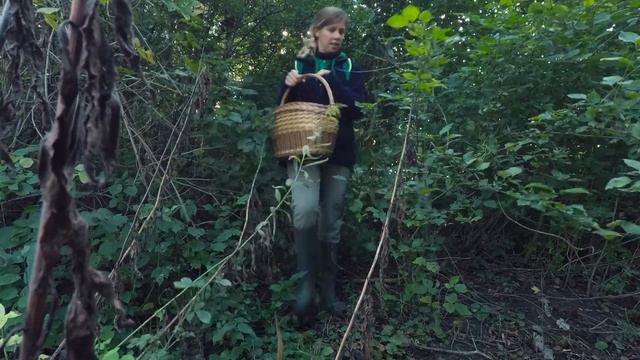 Mushroom picking смотреть онлайн