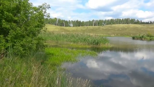 Марушка- моя деревушка. Лягушачий рай. Frosch Paradies. смотреть онлайн