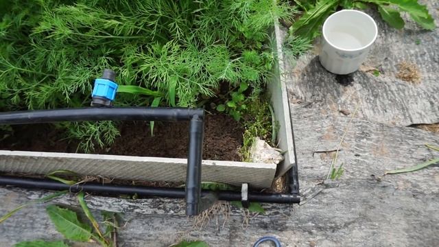 Вернула капельный полив огорода! В июне ? смотреть онлайн