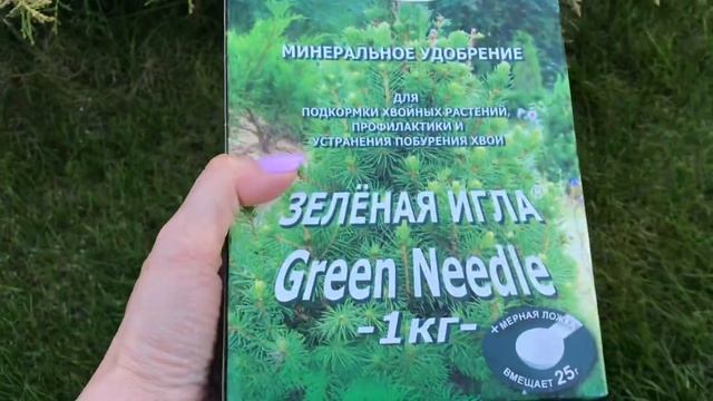 НОВОЕ удобрение для хвойных ? Подкармливаю, но не все растения⁉️ смотреть онлайн