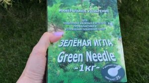 НОВОЕ удобрение для хвойных ? Подкармливаю, но не все растения⁉️
