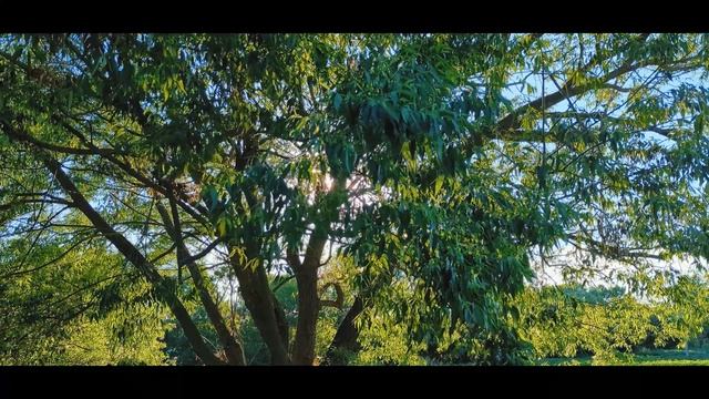 Google Pixel 6 pro. Cinematic pan video. смотреть онлайн