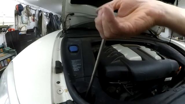 Натуральные ресницы в фокусе