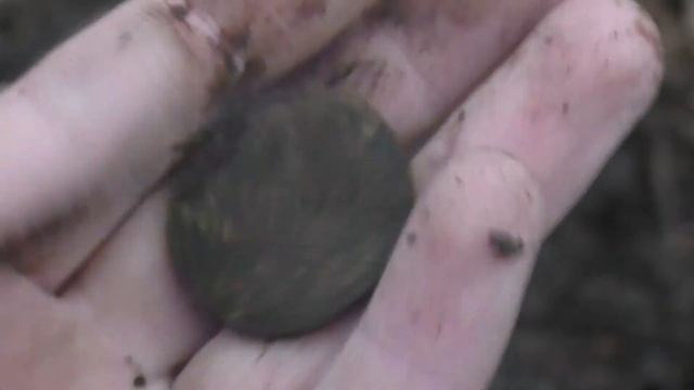 Россыпь царских монет в лесу. Декабрьский коп.CTX 3030.Metal Detecting смотреть онлайн