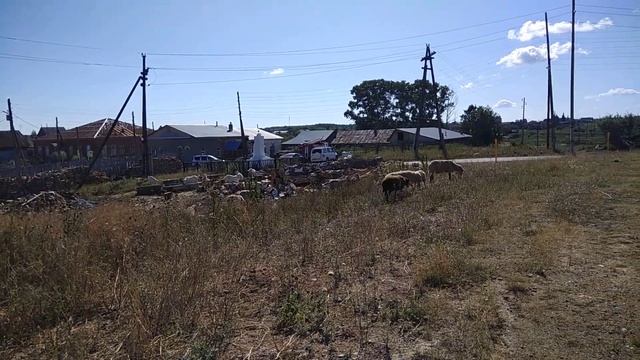 Село Булзи за полчаса смотреть онлайн