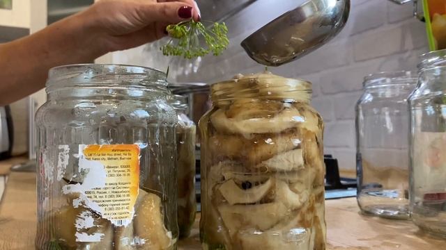 Фильмы о Боевых Искусствах и Боевиках