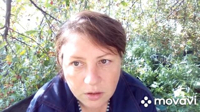 Почему у коровы кислое молоко? смотреть онлайн