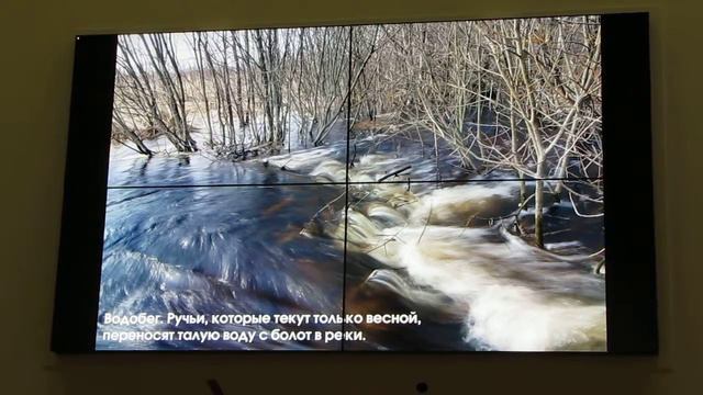 Андриан Колотилин «Полистовье - болотная страна". часть-2 смотреть онлайн