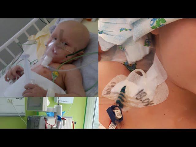 ДОКАЖЕМ СВОЮ ЕВАНГЕЛЬСКУЮ ЛЮБОВЬ, НЕ НА СЛОВАХ, А НА ДЕЛЕ!/ СЕРГИЙ АЛИЕВ/ МАКСИМАЛЬНЫЙ РЕПОСТ! смотреть онлайн