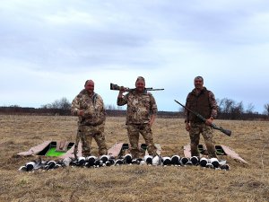 Суперналеты Белощекой казарки!