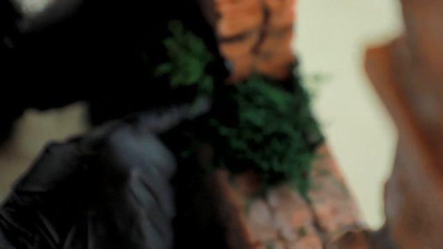 сухой аквариум своими руками смотреть онлайн