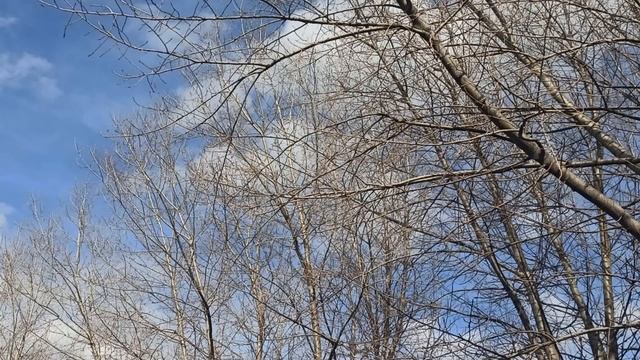 1 мая народный праздник Кузьмин день. Народные приметы и традиции. смотреть онлайн