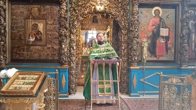 Слово о. Сергия Базанова в день праздника Вход Господень в Иерусалим! смотреть онлайн