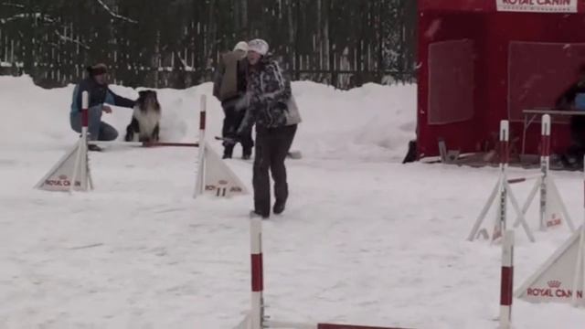Кубок Общественного Совета, 08.12.12г., СПб, v21 смотреть онлайн