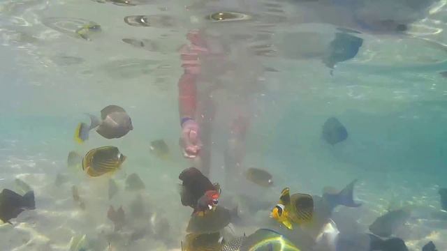 Золотая рыбалка смотреть онлайн