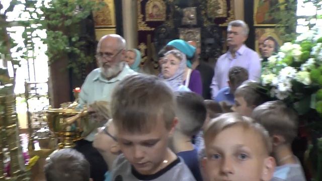 Проповедь и освящение березовых ветвей смотреть онлайн