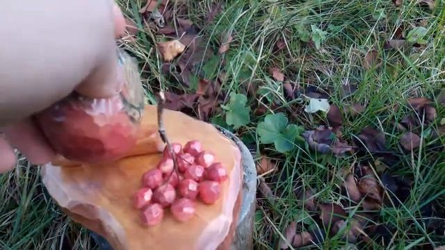 Снегирь, гроздь рябины, птица, резьба по дереву, Wood Carving смотреть онлайн