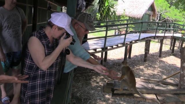 Пирании и крокодилы - амазонская охота смотреть онлайн