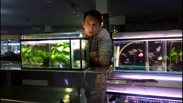 Новая Птичка, 54 км МКАД смотреть онлайн