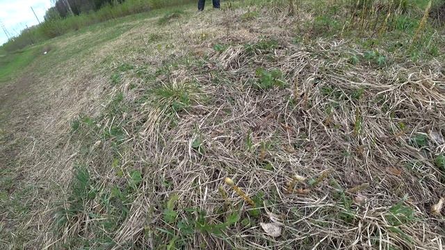 В лес 20 мая 2022 2ч. смотреть онлайн