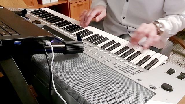 The Last Rhumba / magnetic fields - cover Yamaha PSR-s710 смотреть онлайн