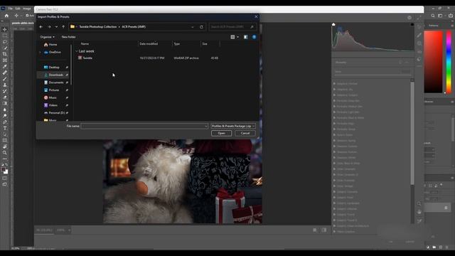 How to Import Twinkle Presets into the Adobe Camera Raw? смотреть онлайн
