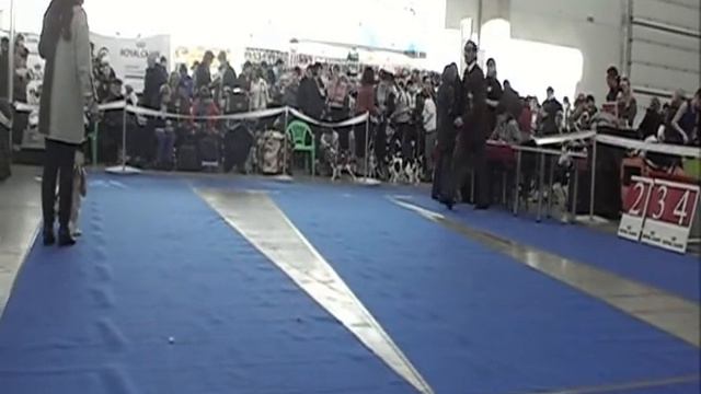 Хрустальный Кубок 2011