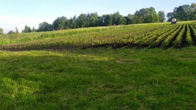 12 июня 2020 г.mp4 смотреть онлайн