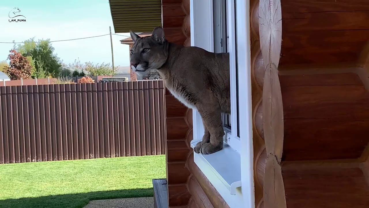 Месси посадил сад!