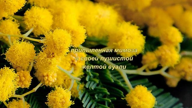 Mechta Brocard. Мечта. Мимоза и липа. Обзор аромата. Сады соблазна смотреть онлайн