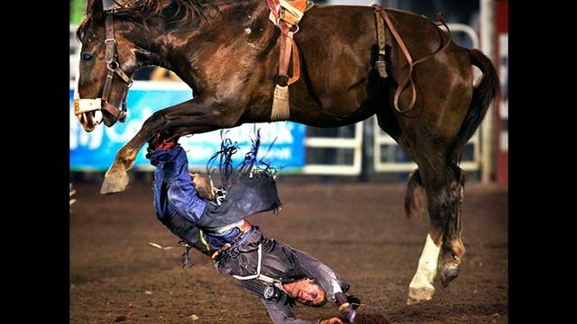 Наездник и его лошадка из альбома Рок Витамина 2015 смотреть онлайн