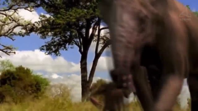 Comment était la Terre après les DINOSAURES ? смотреть онлайн