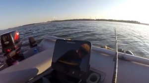 Ловля СОМА НА КВОК | Первый опыт