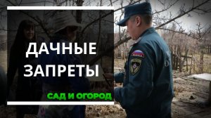 Что запрещено делать на дачном участке — список, который надо запомнить