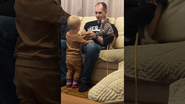 Вот то-то и оно