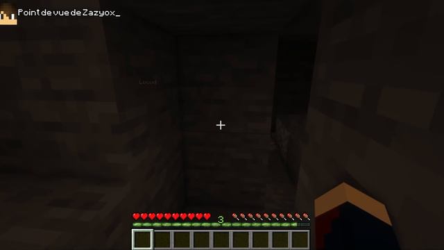 Je TROLL des gens avec HEROBRINE, ENTITY 303 et NULL (le dernier a vraiment paniqué) смотреть онлайн