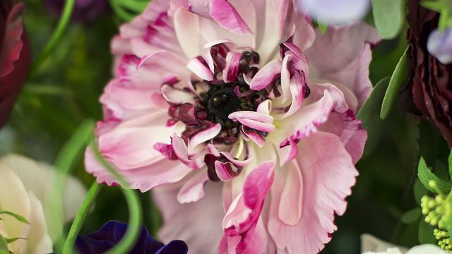 An Inside Look At Japanese Flowers!