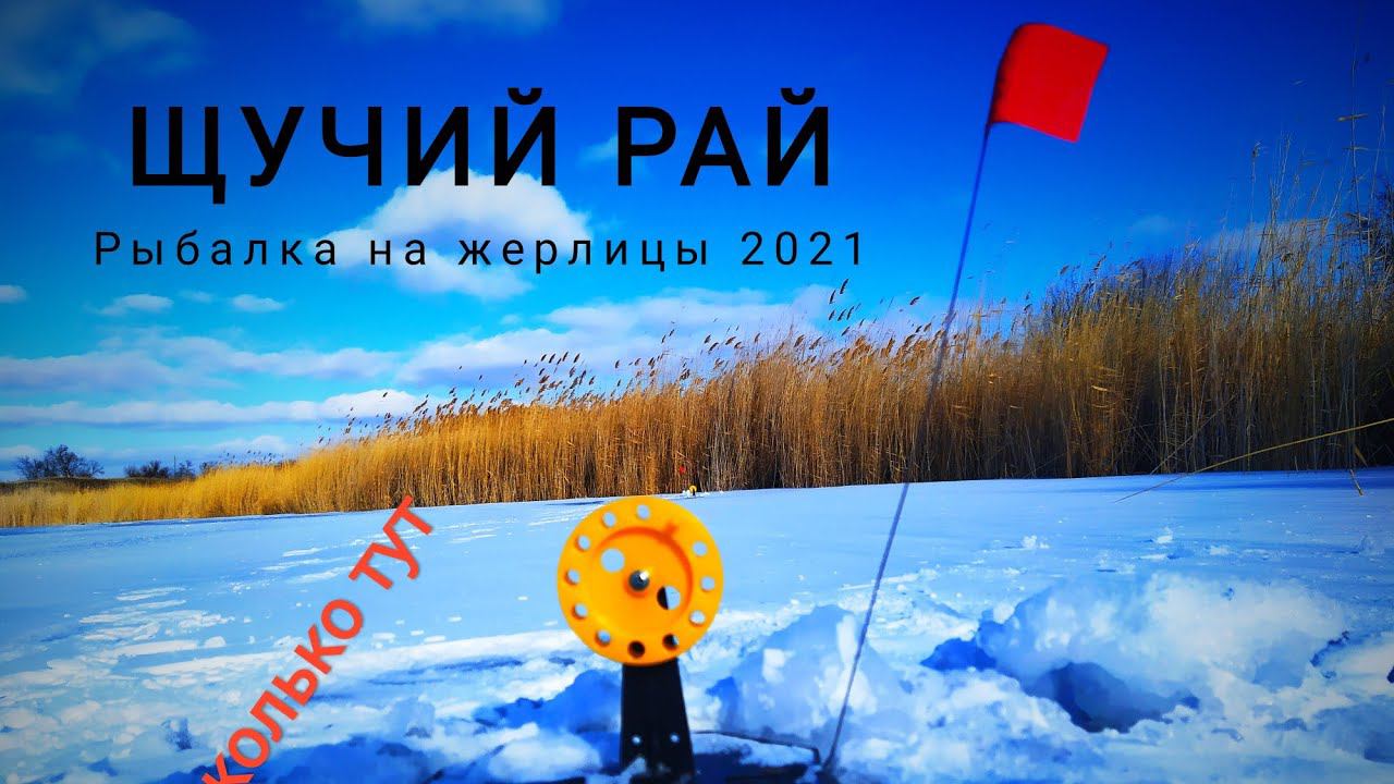 ЩУЧИЙ РАЙ! НАШËЛ ГДЕ ЩУКА ЗИМУЕТ! РЫБАЛКА НА ЖЕРЛИЦЫ смотреть онлайн