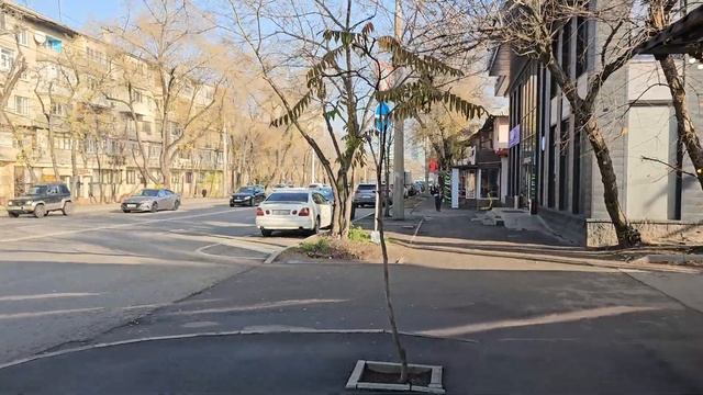 Алматы: ВШП Адилет, пешком от первого корпуса до второго #walkingtour