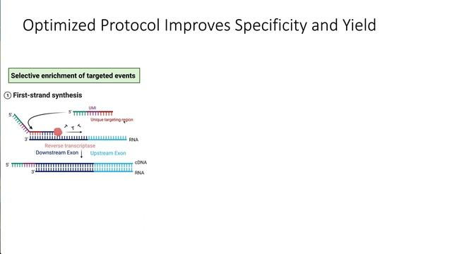 LSV-Seq: A Novel Targeted Sequencing Method to Detect... - Kevin Yang - iRNA - Abstract - ISMB 2022 смотреть онлайн