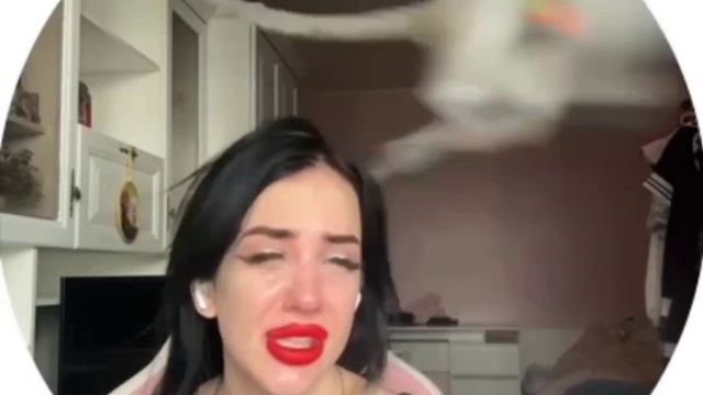 Обезьяна крушит квартиру