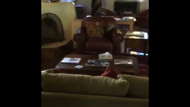 Mabel Dodge Luhan House | Taos смотреть онлайн