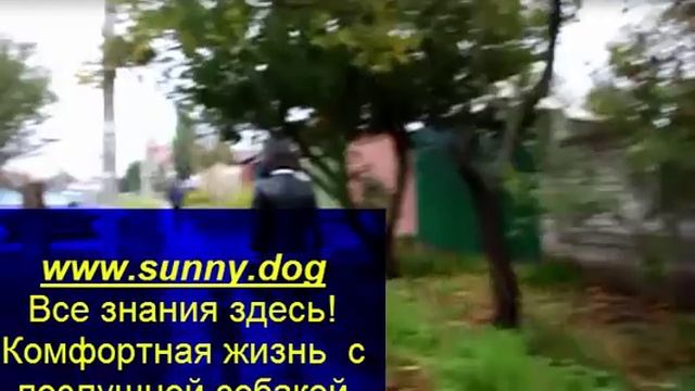 команда рядом разница между бытовой командой и спортивной смотреть онлайн