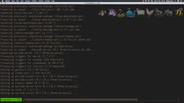 How to install latest stable MariaDB Server on Ubuntu 16.04 LTS смотреть онлайн