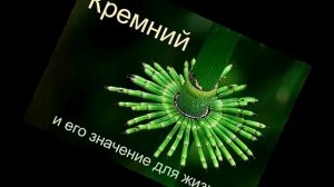 Крепкие кости! Кремний или кальций Как восполнить недостаток кремния в организме