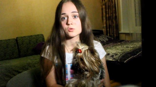 Ожирение у собак. Как похудеть собаке? наша история.Йорк Маркус=) смотреть онлайн